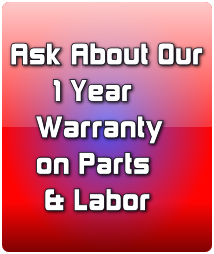 1 Year Warranty